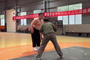 不懂就问，是不是会打球的胖子，投篮都很准啊！🙊